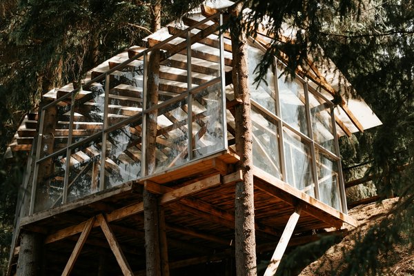 Dormir dans les arbres : une évasion paisible en pleine nature